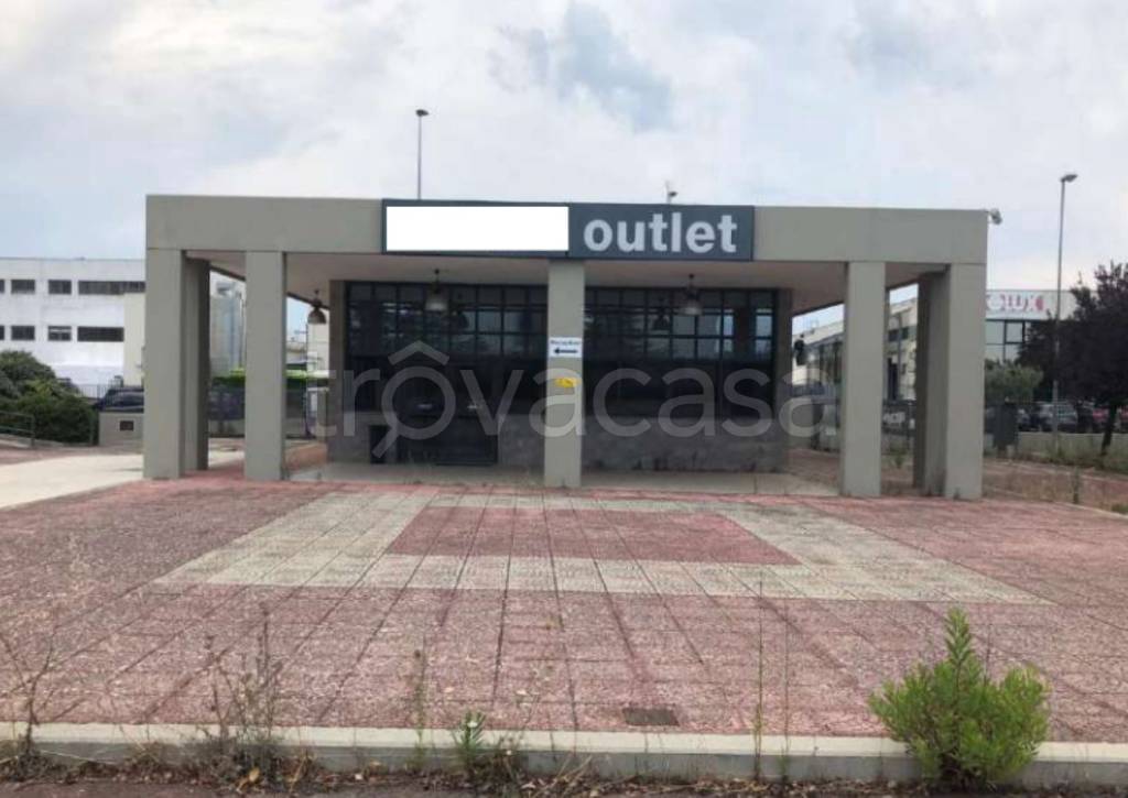 immagine annuncio 2 di 14