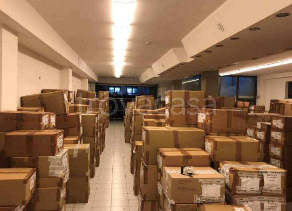 immagine annuncio 5 di 14