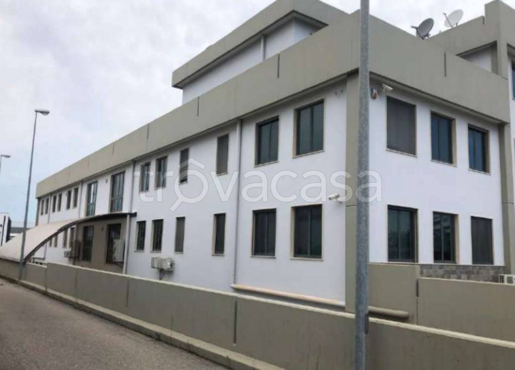 immagine annuncio 6 di 14