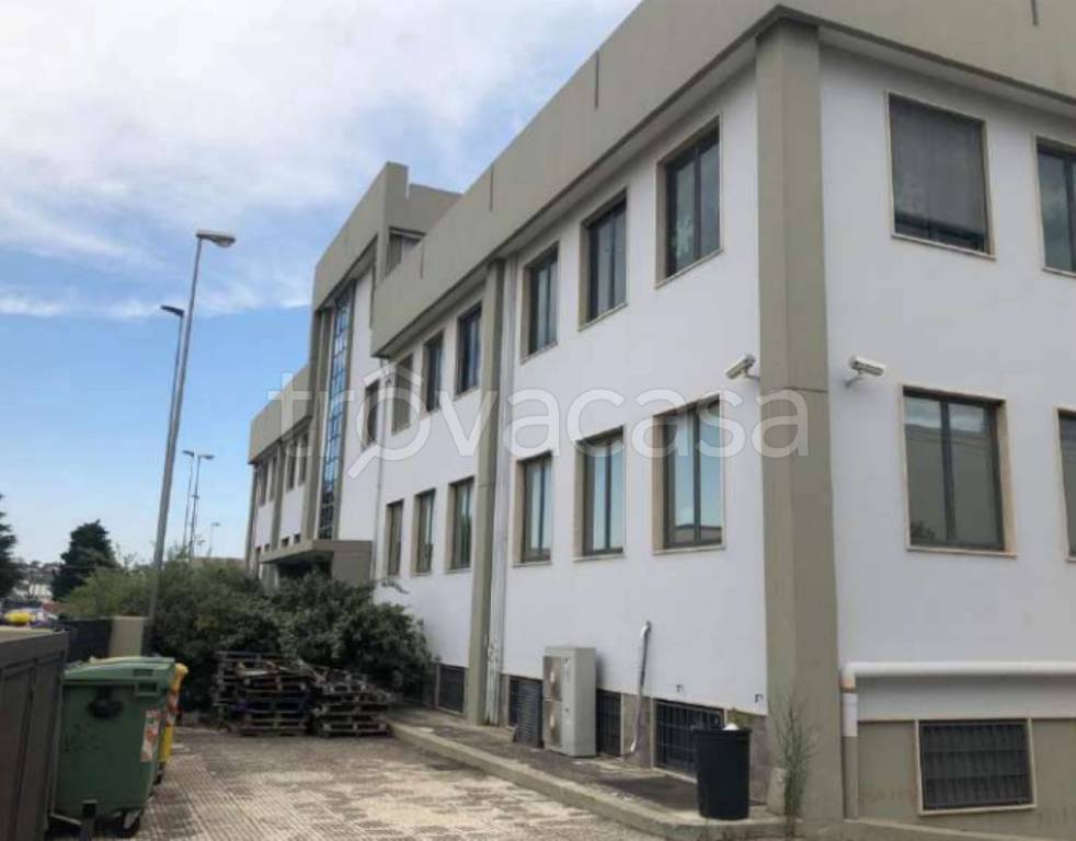 immagine annuncio 7 di 14