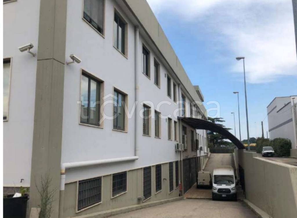 immagine annuncio 8 di 14