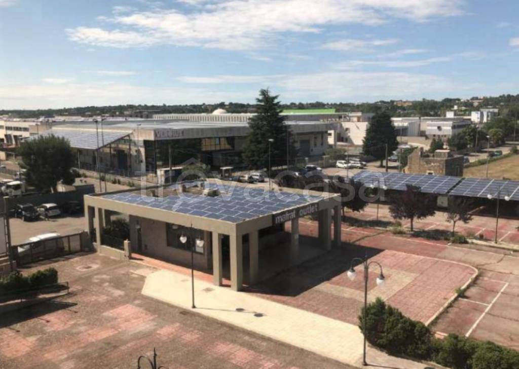 immagine annuncio 10 di 14