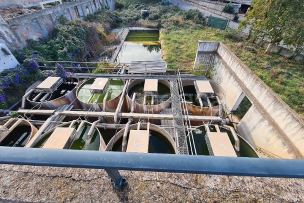 immagine annuncio 6 di 11