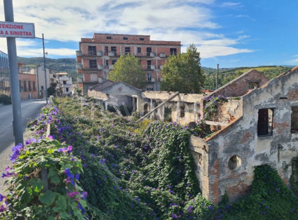 immagine annuncio 7 di 11