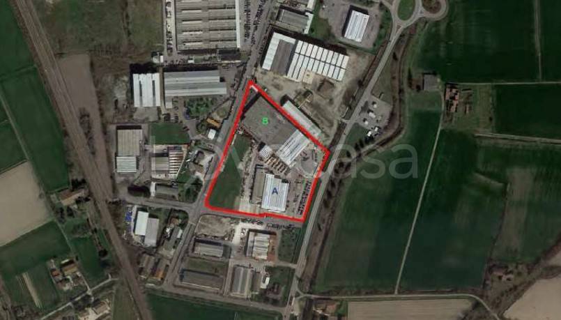 immagine annuncio 6 di 11