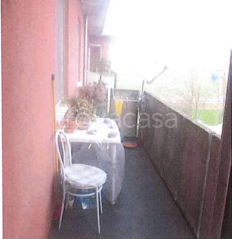 immagine annuncio 2 di 12