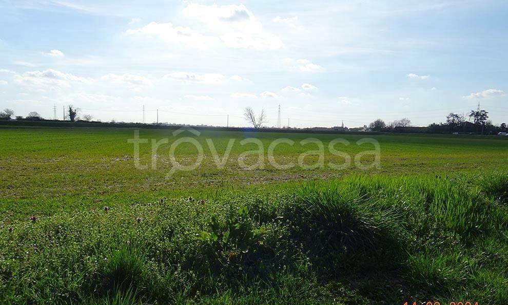 immagine annuncio 1 di 7