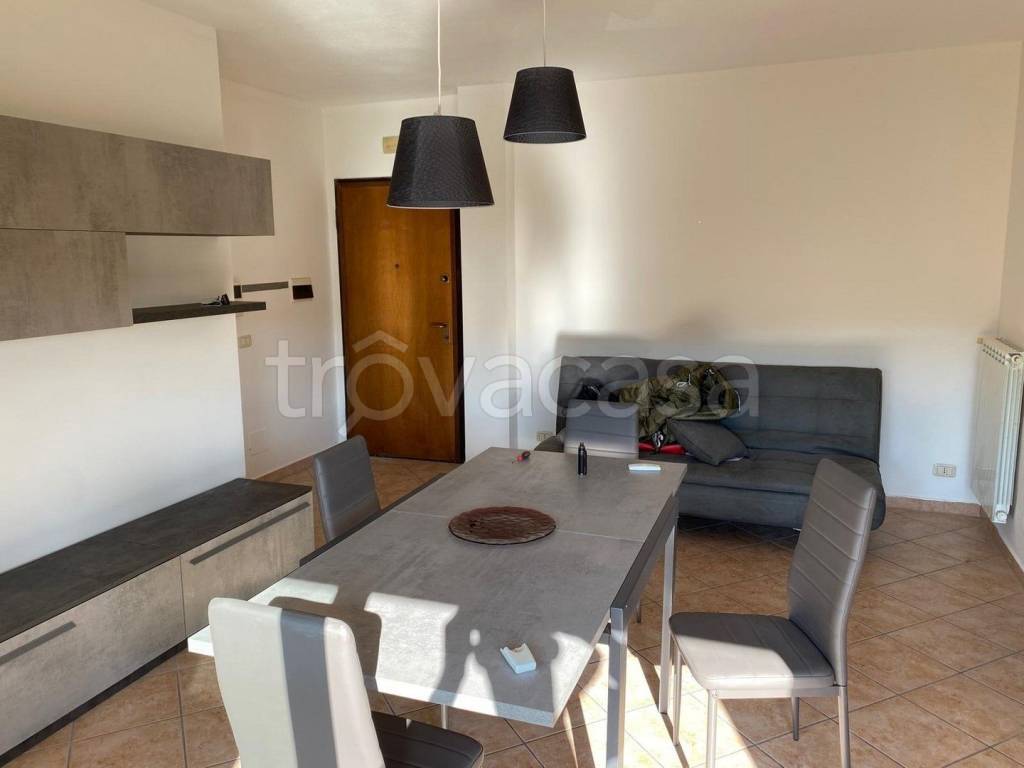 immagine annuncio 3 di 8