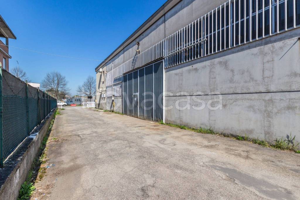 immagine annuncio 9 di 15