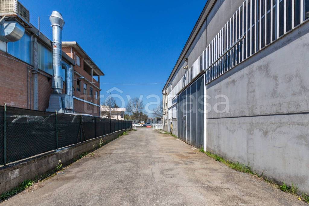 immagine annuncio 10 di 15