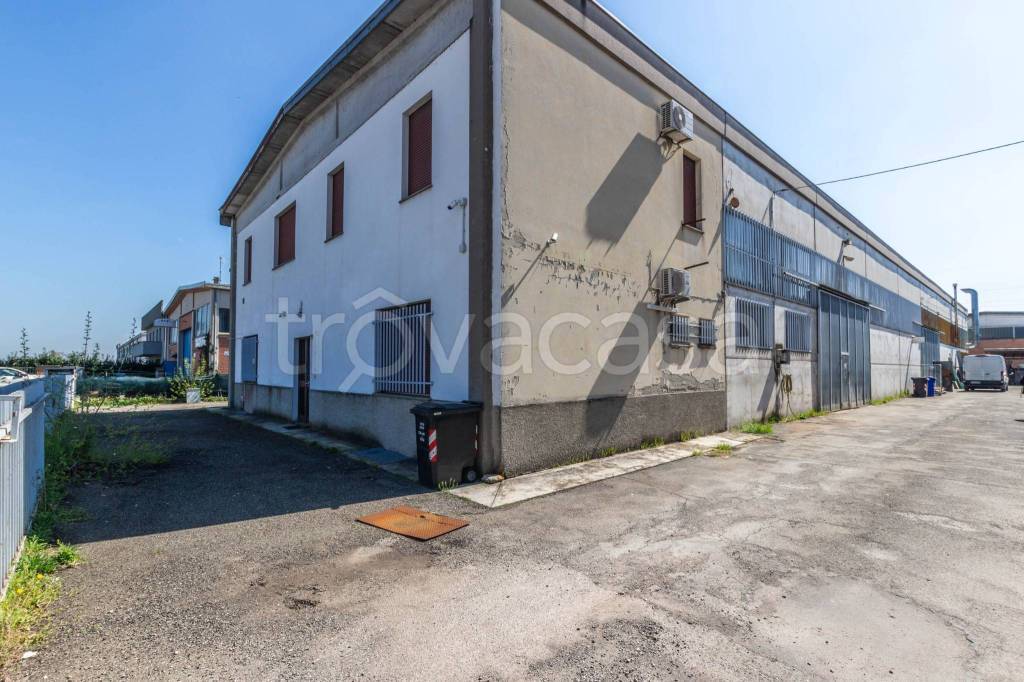 immagine annuncio 12 di 15