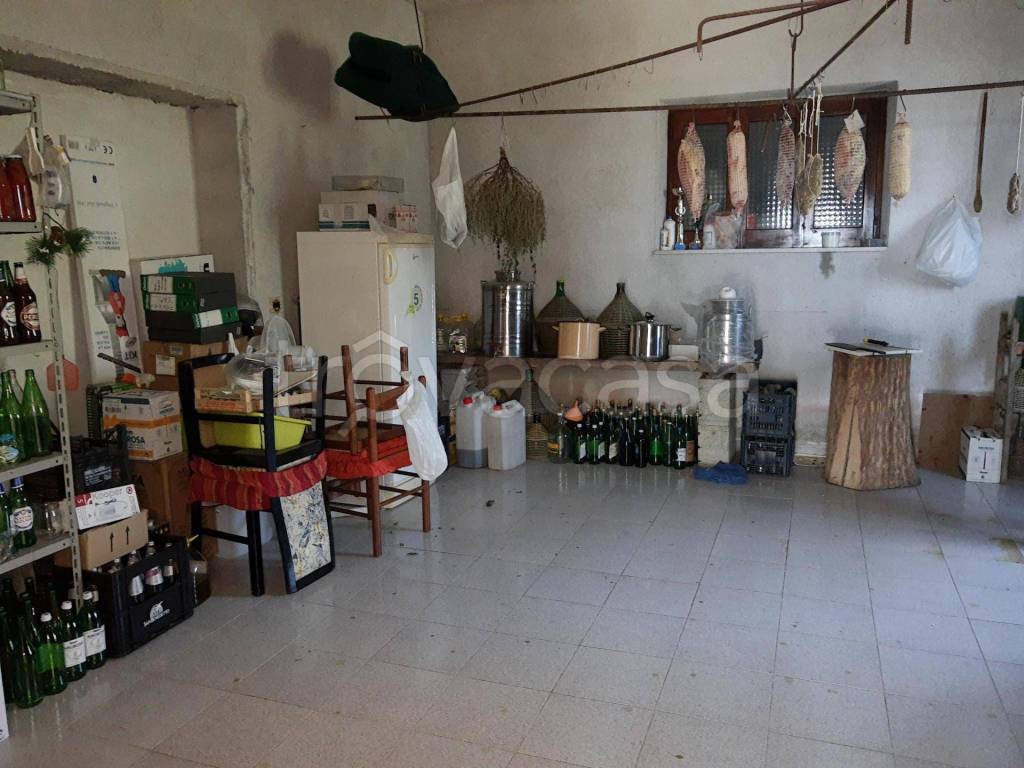 immagine annuncio 10 di 12