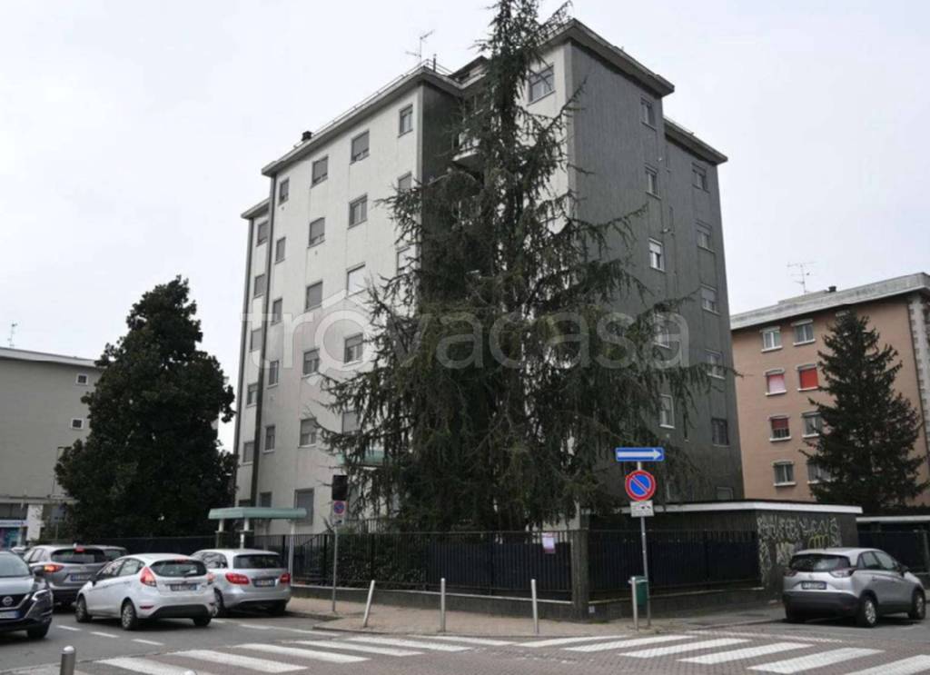 immagine annuncio 7 di 11