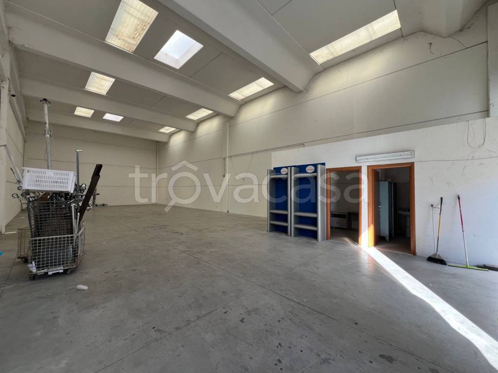 immagine annuncio 5 di 10