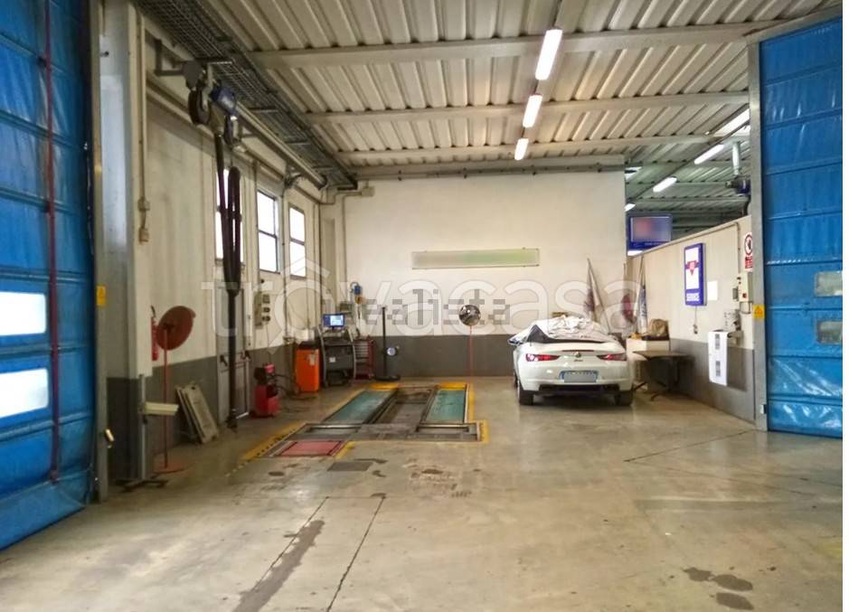 immagine annuncio 9 di 15