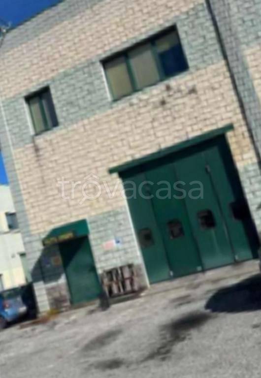 immagine annuncio 3 di 12