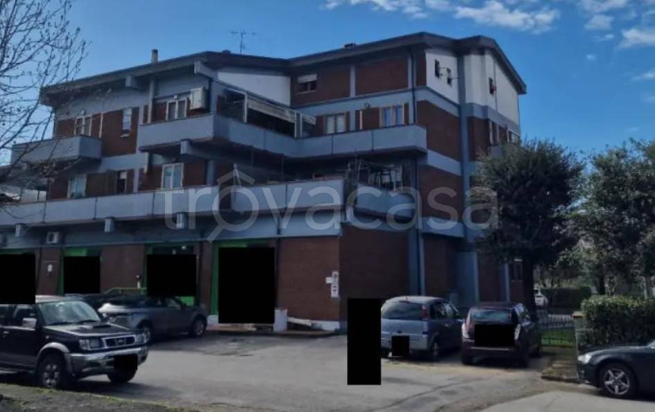 immagine annuncio 12 di 15