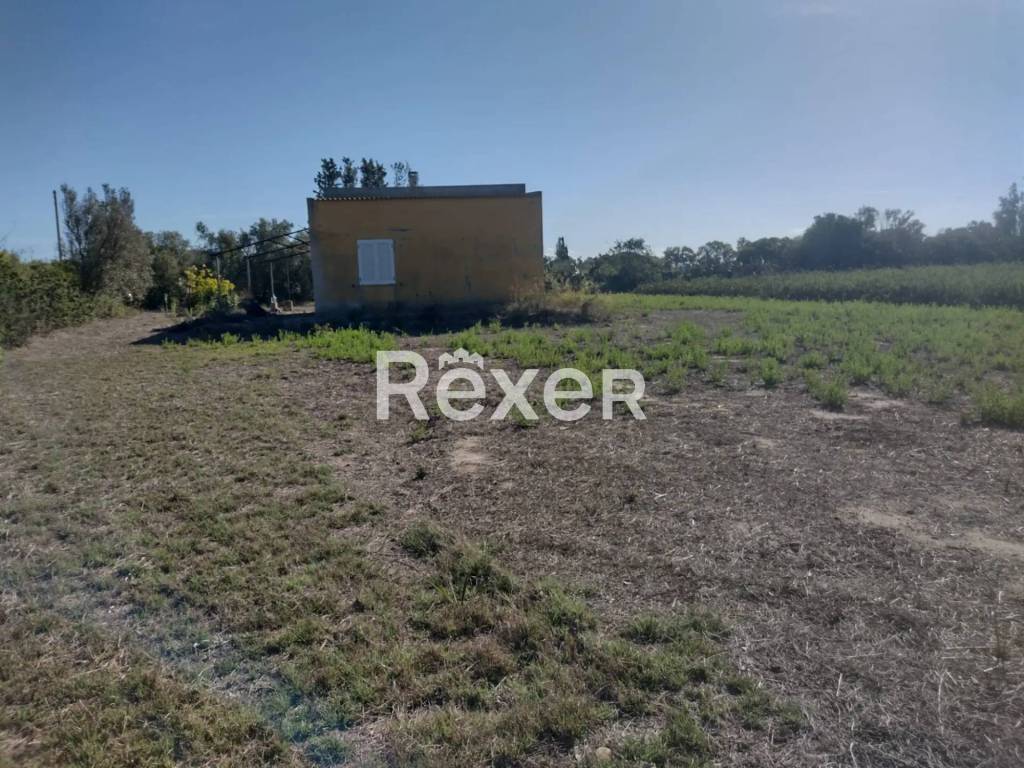 immagine annuncio 4 di 7