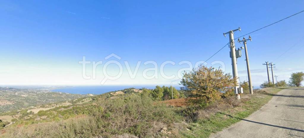 immagine annuncio 4 di 6