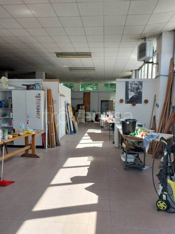 immagine annuncio 3 di 7