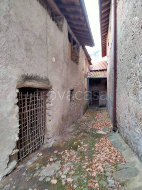 immagine annuncio 12 di 14