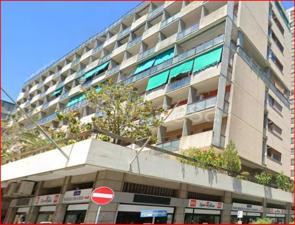 immagine annuncio 4 di 12