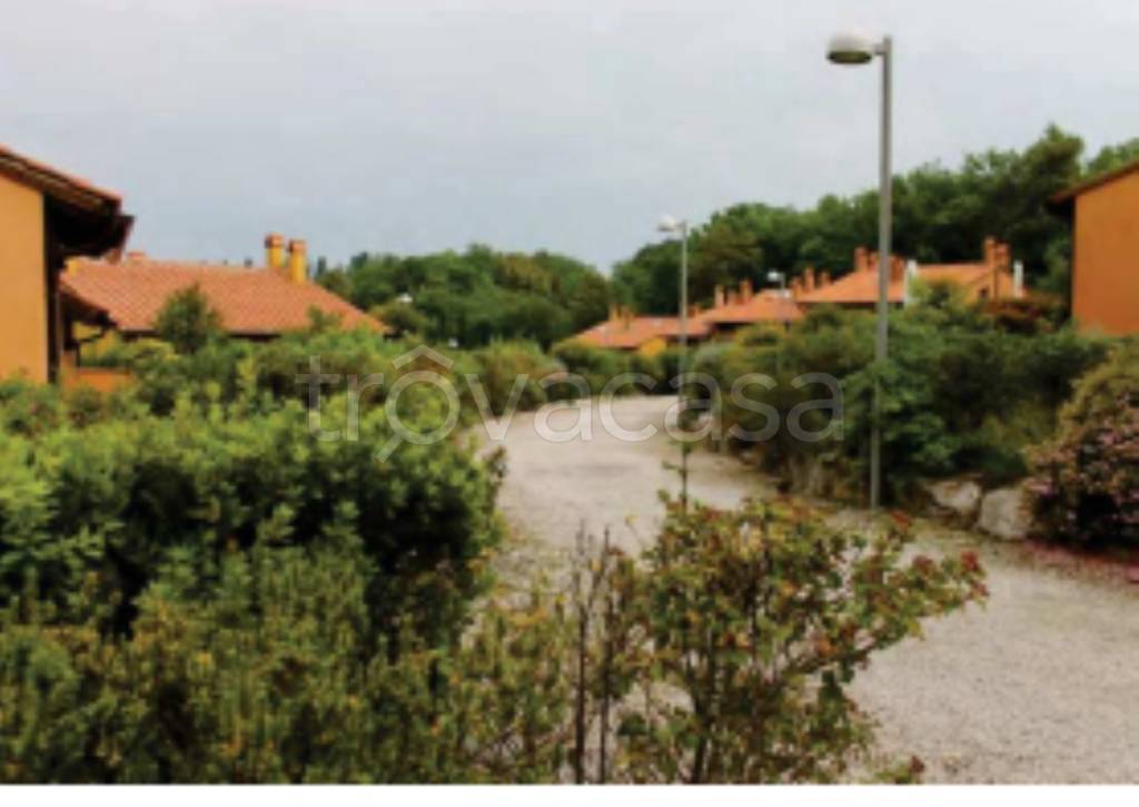 immagine annuncio 7 di 11