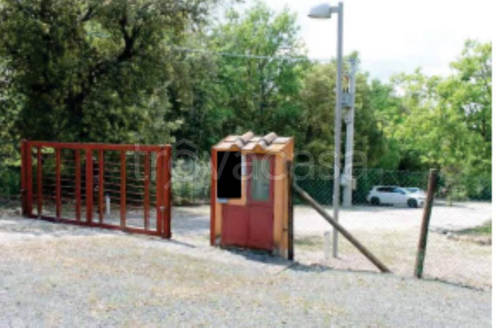 immagine annuncio 3 di 11