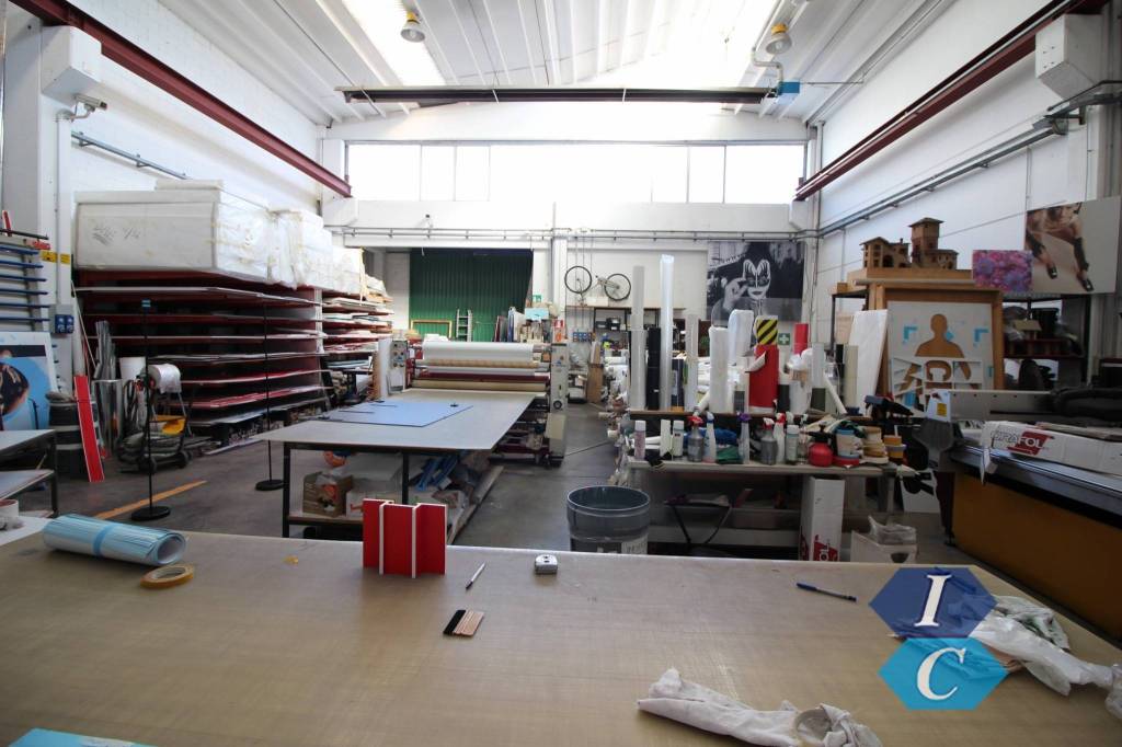 immagine annuncio 9 di 15