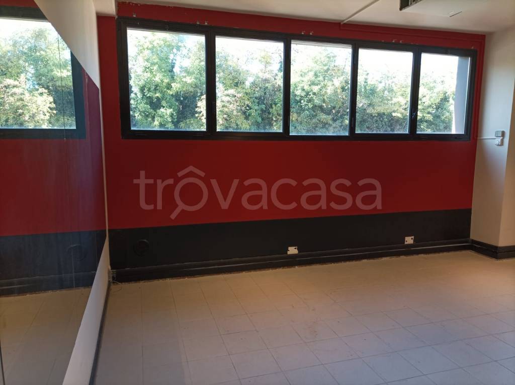 immagine annuncio 4 di 14