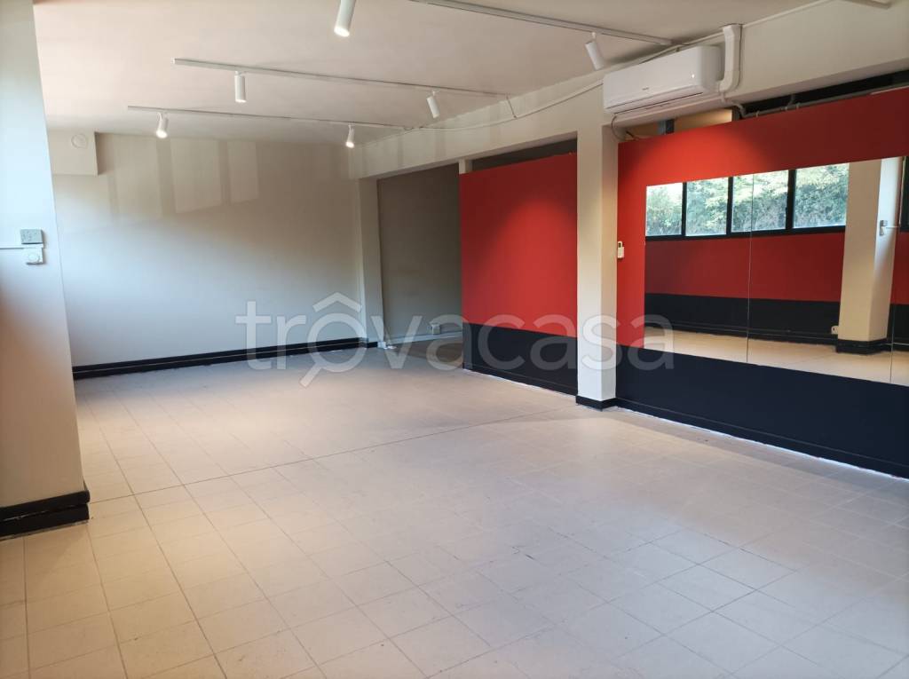 immagine annuncio 1 di 14