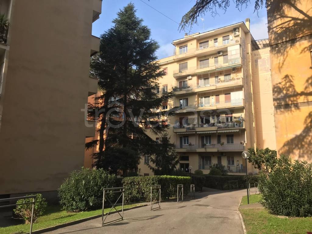 immagine annuncio 5 di 9