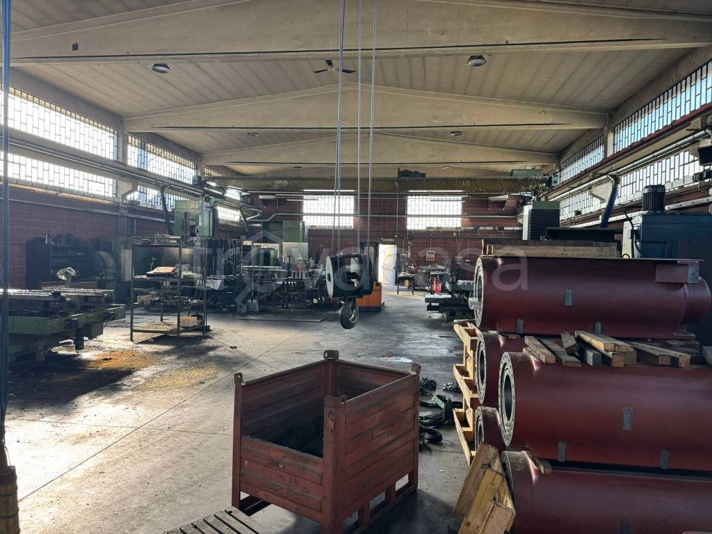 immagine annuncio 11 di 15