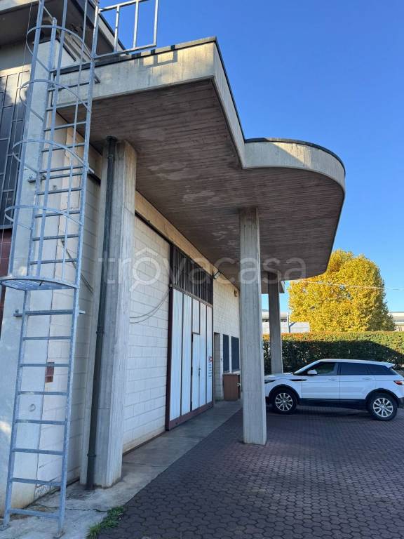 immagine annuncio 12 di 15