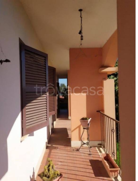 immagine annuncio 8 di 11