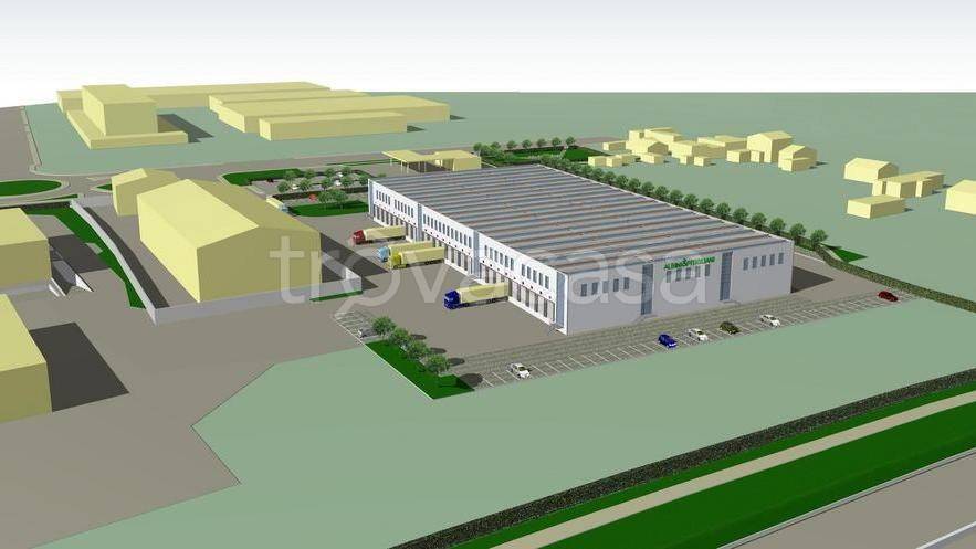 immagine annuncio 4 di 7