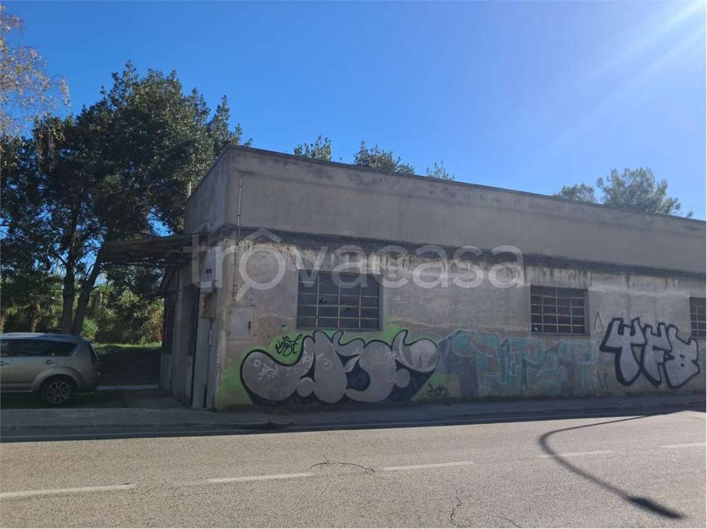 immagine annuncio 3 di 11