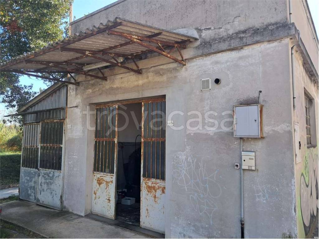 immagine annuncio 5 di 11