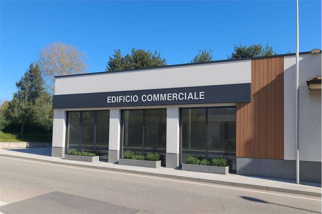 immagine annuncio 6 di 11