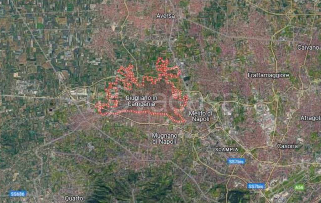 immagine annuncio 10 di 11