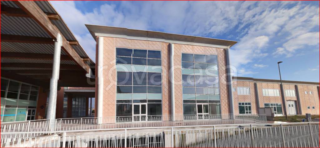 immagine annuncio 7 di 12