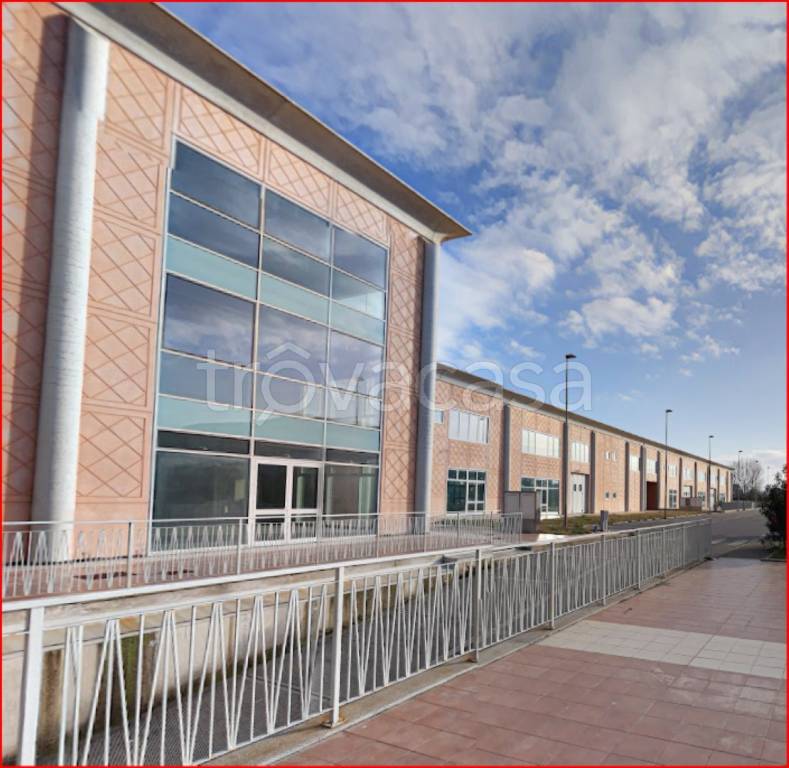 immagine annuncio 1 di 14