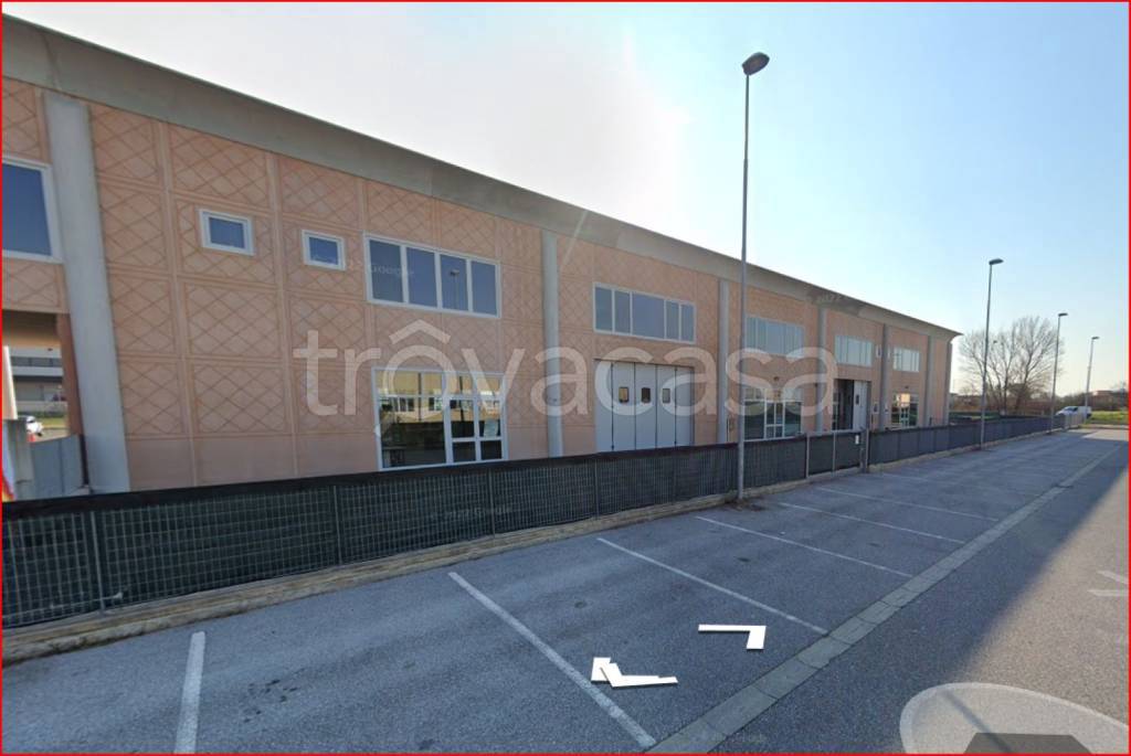 immagine annuncio 6 di 14