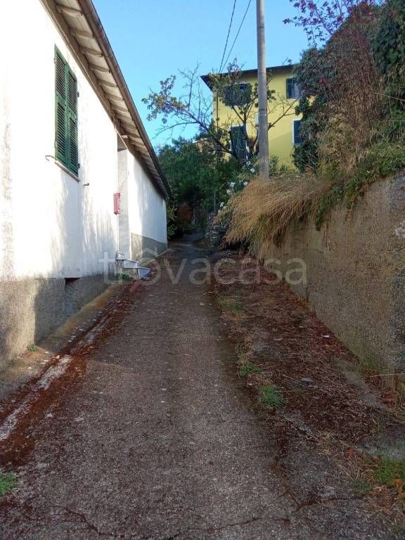 immagine annuncio 8 di 14