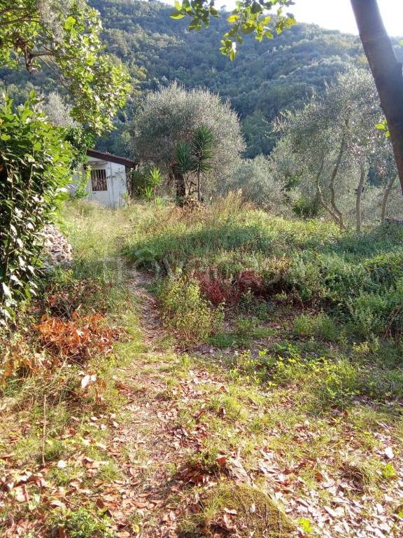 immagine annuncio 11 di 14