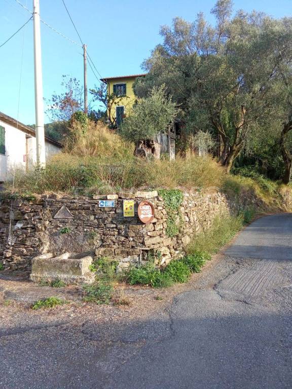 immagine annuncio 13 di 14