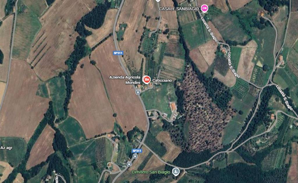 immagine annuncio 3 di 11