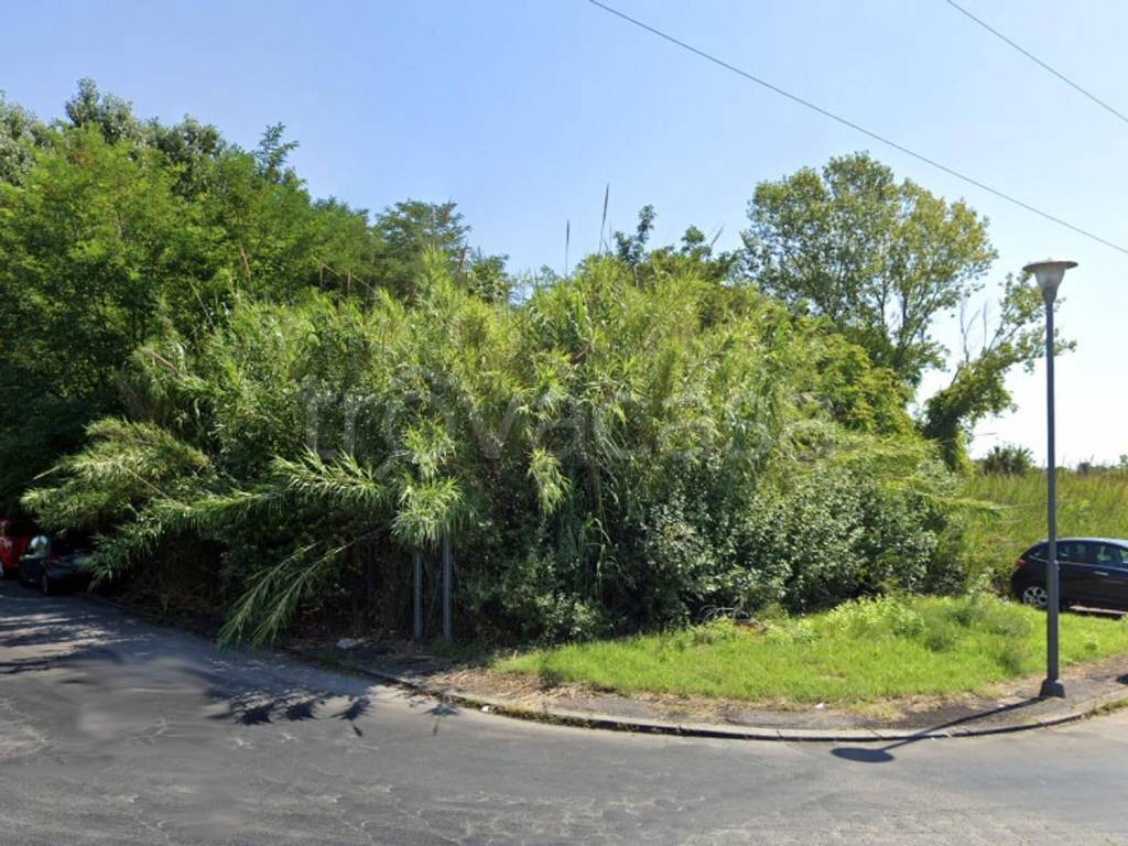 immagine annuncio 3 di 12