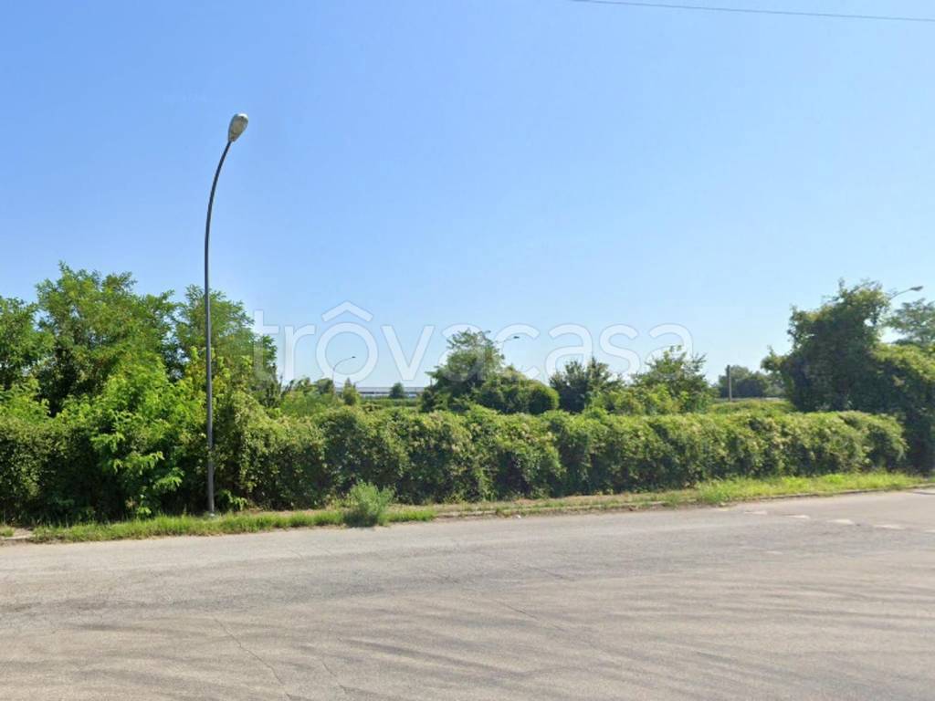 immagine annuncio 8 di 12