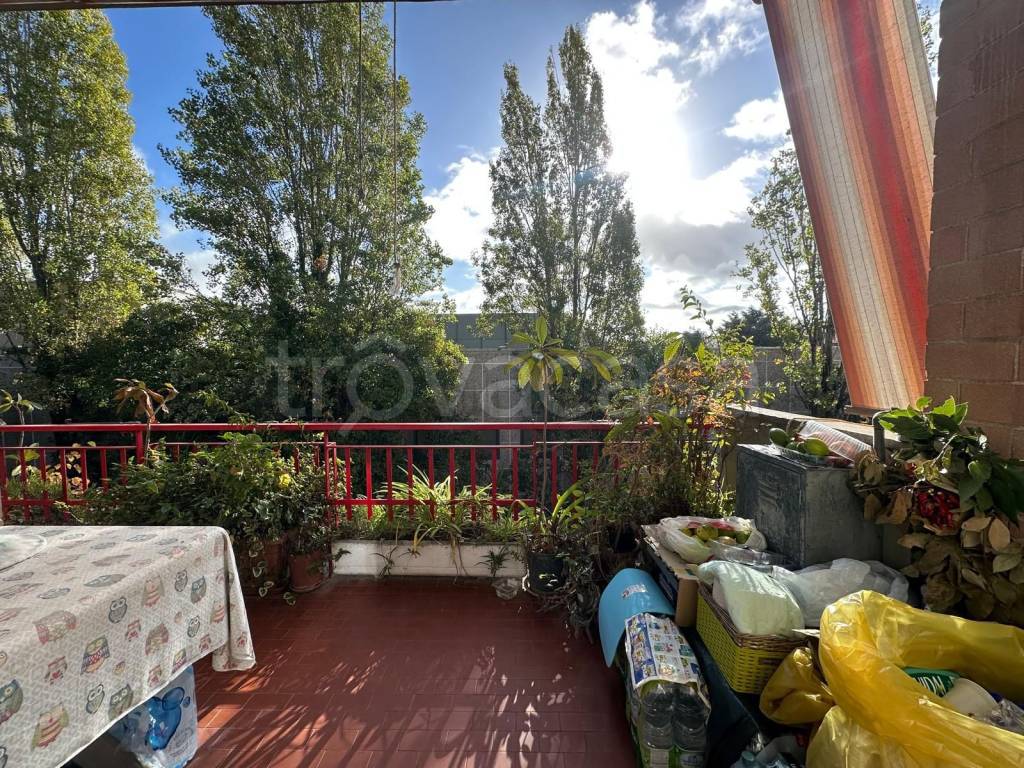 immagine annuncio 14 di 15